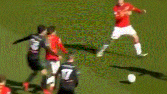 的坚韧与对 的坚韧与对